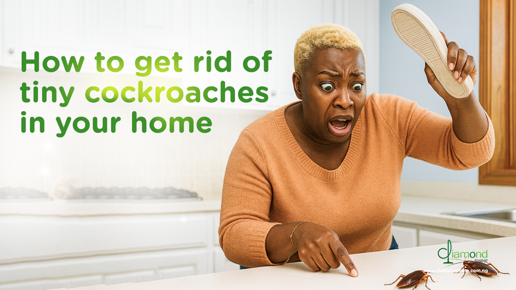 How to Get Rid of Tiny Cockroaches in Your Home
