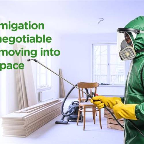 WHY FUMIGATION IS NON-NEGOTIABLE BEFORE MOVING INTO A NEW SPACE