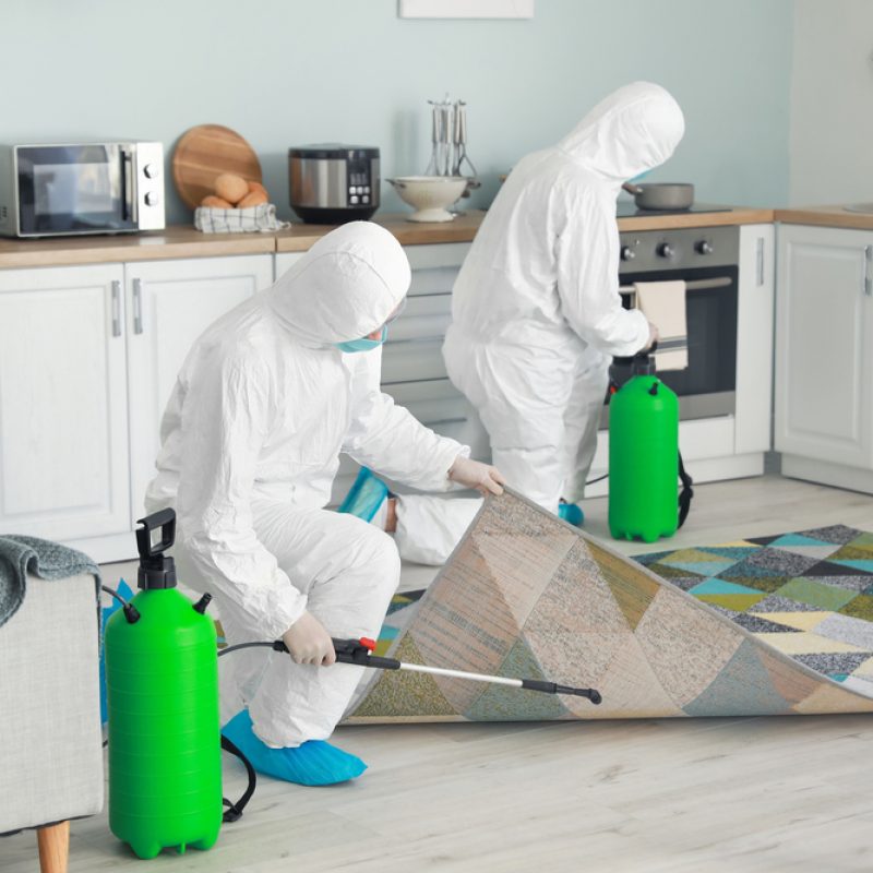 Diamond Shine team providing Building Cleaning Services in Abuja